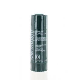 DERMOPHIL INDIEN LIPSTICK APAIS/REP 4 G